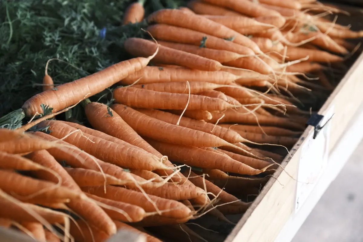 Carottes